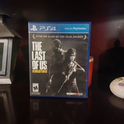 The Last Of Us 