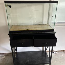 29 Gal Fish With Tank Stand