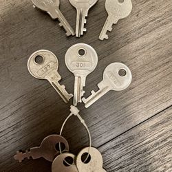 Vintage EXCELSIOR Key Lot Steamer Locker Cash Box Safe Chest *9keys*New