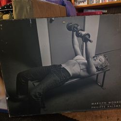 Marilyn Monroe Pictures