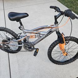 Kids 20in Bike
