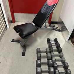 Hex Dumbell Set 10-35 With Bowflex Bench