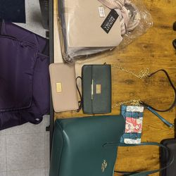 6 purses - 1 Coach and 5 Badgley Mischka