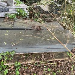 10 SLAB STONE TREADS 15.5” X 5’ X 1.5”
