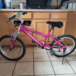 20" MAGNA GREAT DIVIDE 6 SPEED BIKE