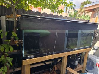 Fish tank