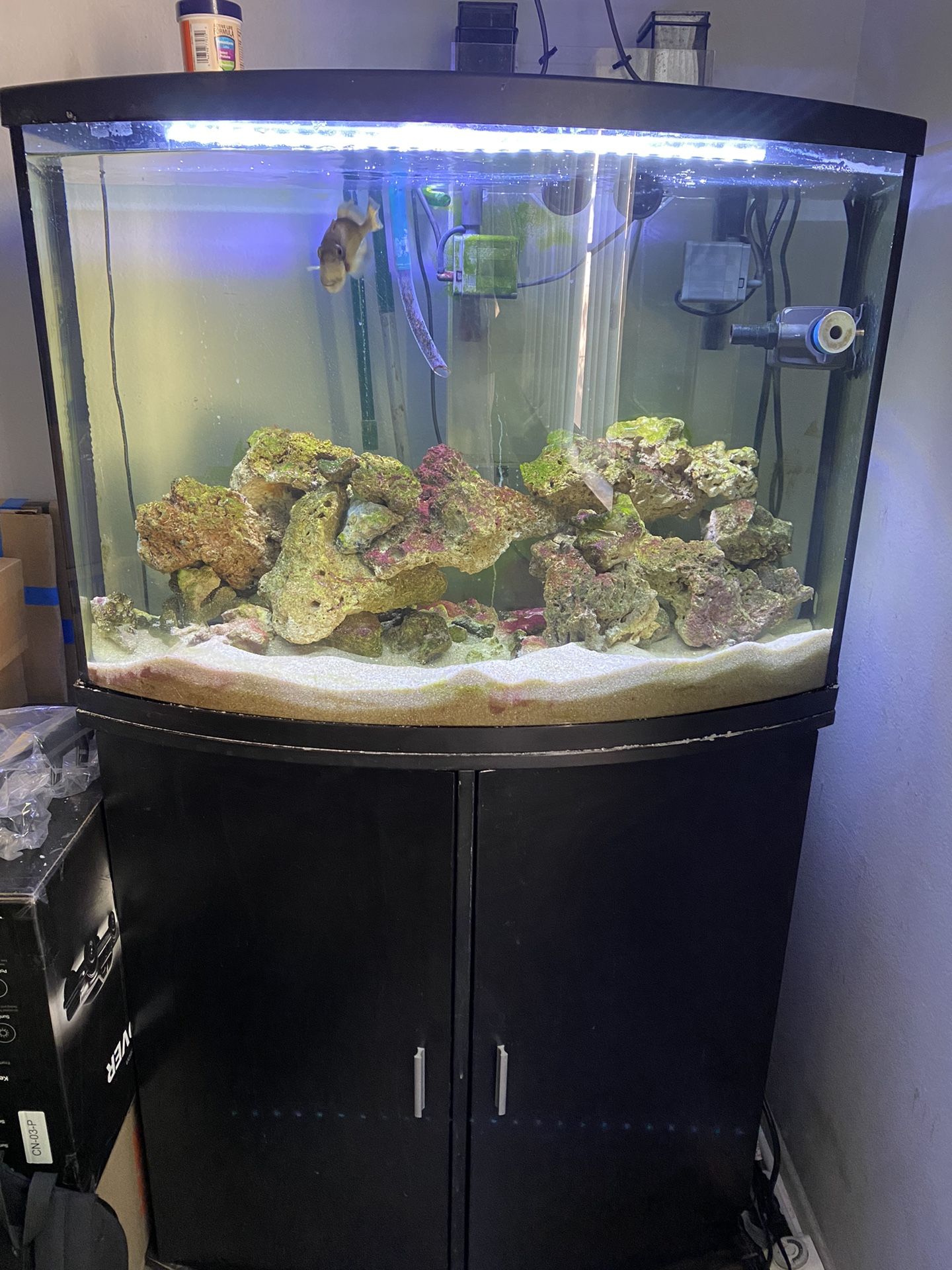 40 G , Fish Tank