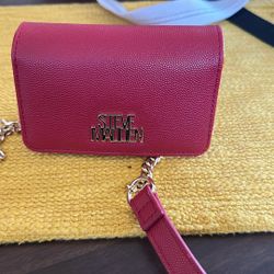 Small Steve Madden Purse 