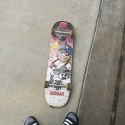 Skate Board