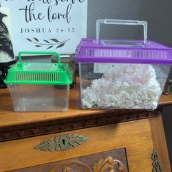 TWO small Rodent Carry Boxes