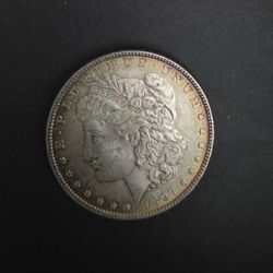 Silver Morgan Dollar (Toned)