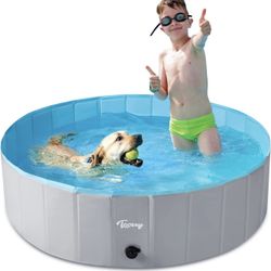 Dog Pool