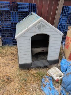 Dog house