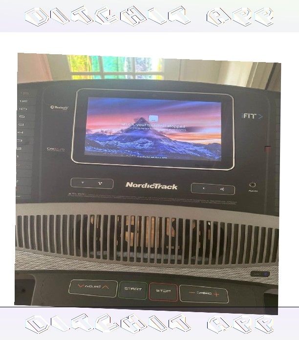 save network Sunny Health & Fitness Treadmill Get Strong at Home