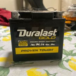 Duralast Gold