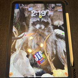 iPad Air 4th generation with case and Apple Pencil - 256GB