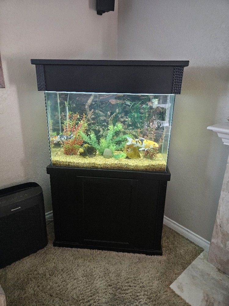 Fish / Reptile Aquarium 55 Gallon W/Cabinet