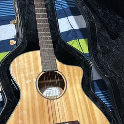 Breedlove Guitar