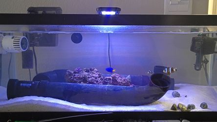 Saltwater tanks everything included