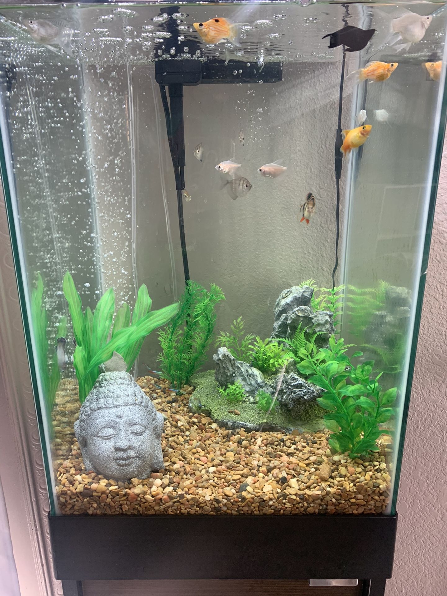 15gallon Fish tank