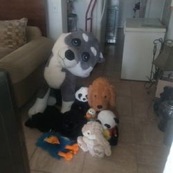 Teddy Bears 8 for $7