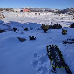 Yukon Charlie Hammerhead Pro HD Sled New In Box