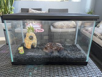 Fish Tank