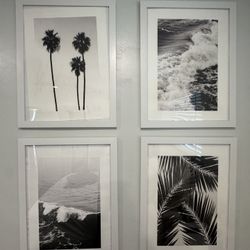 20x26 White Frames With Photo Included