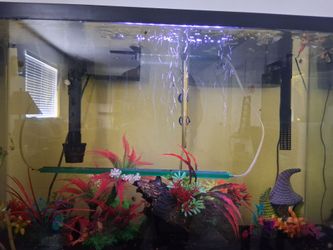 Fish Tank