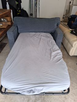 Love Seat with Pullout Bed built in