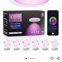 6 Inch Recessed Lights