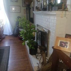 Lots Of Plus Size Women's Clothes