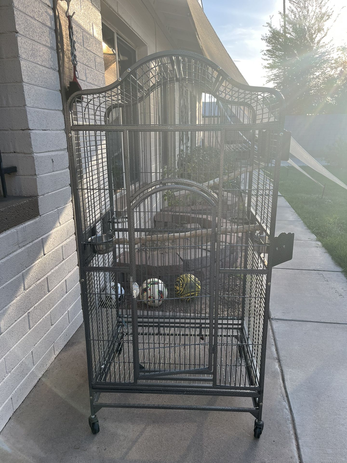 Bird Cage