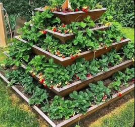 Custom Beautiful privacy wall Frame Planter Box Garden Bed cedar redwood Mother’s Day Best Gift 