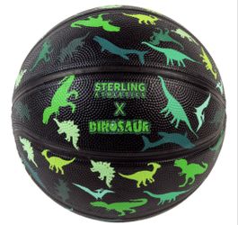 Dinosaur Basketball