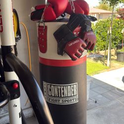 Punching Bag With Stand 