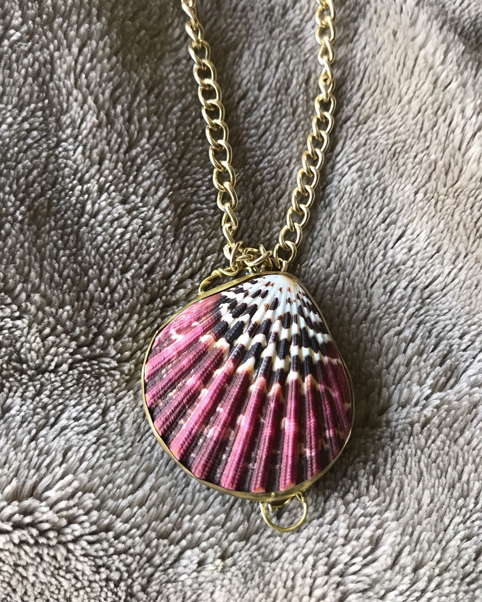 Shell Golden Shell
