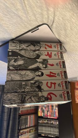 Vizbig Vol 1-12 Vagabond