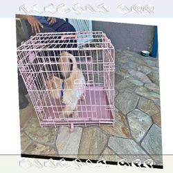Solid Metal Dog Crates - Trustworthy and Safe take employee