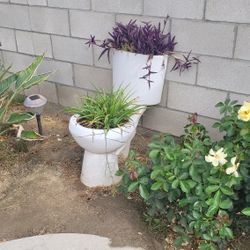 Funny Garden Decor Plater With Plants HEAVY!!