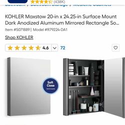 Bold Look Of Kohler Mirror Cabinet
