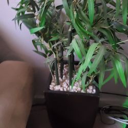 Artificial Floor Standing Plant w/base