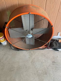 Big fan