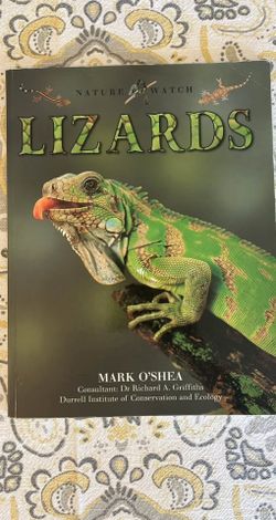 Nature Watch: Lizards by Mark O'Shea