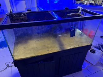 90 gallons plus stand
