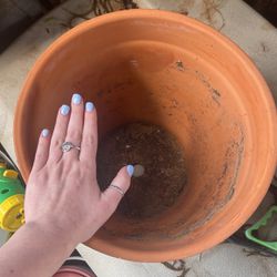 Taca Plant Pot