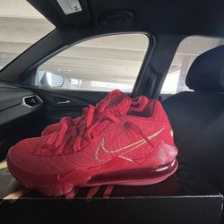 Nike lebron 17 Red (Price negotioable)