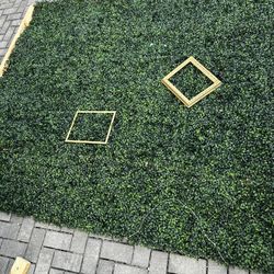 Plant Wall, Wall Art