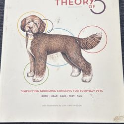 Theory of 5