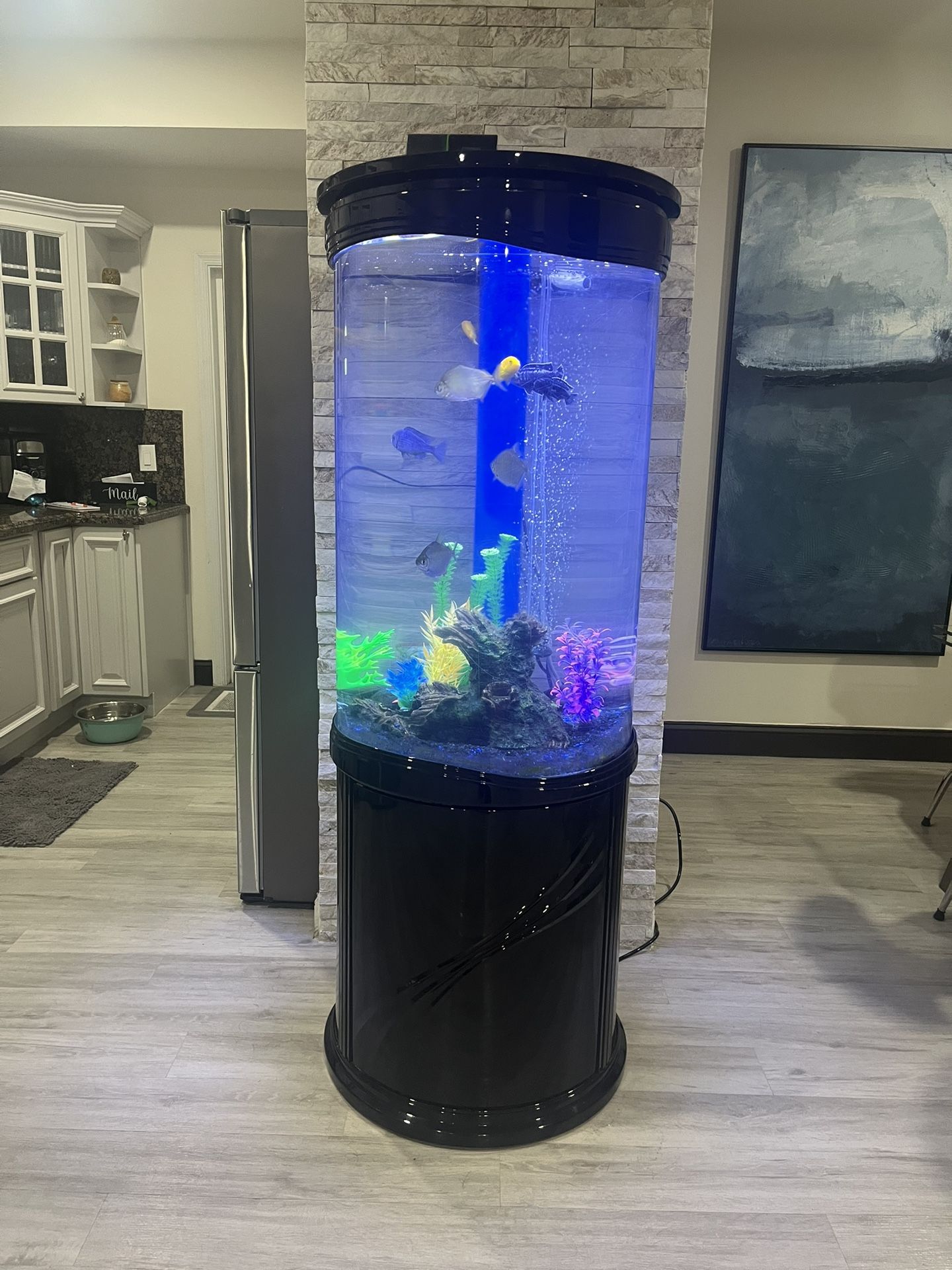 70 Gallon Cylinder Aguarium
